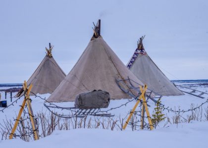 путешествия к коренным народам Севера