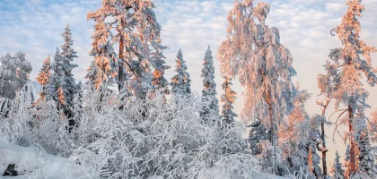 Погрузитесь в зимнюю сказку России: искрящийся снег, древние города, теплые традиции и магия самого долгого времени года.